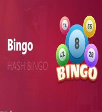 游戏攻略与评测